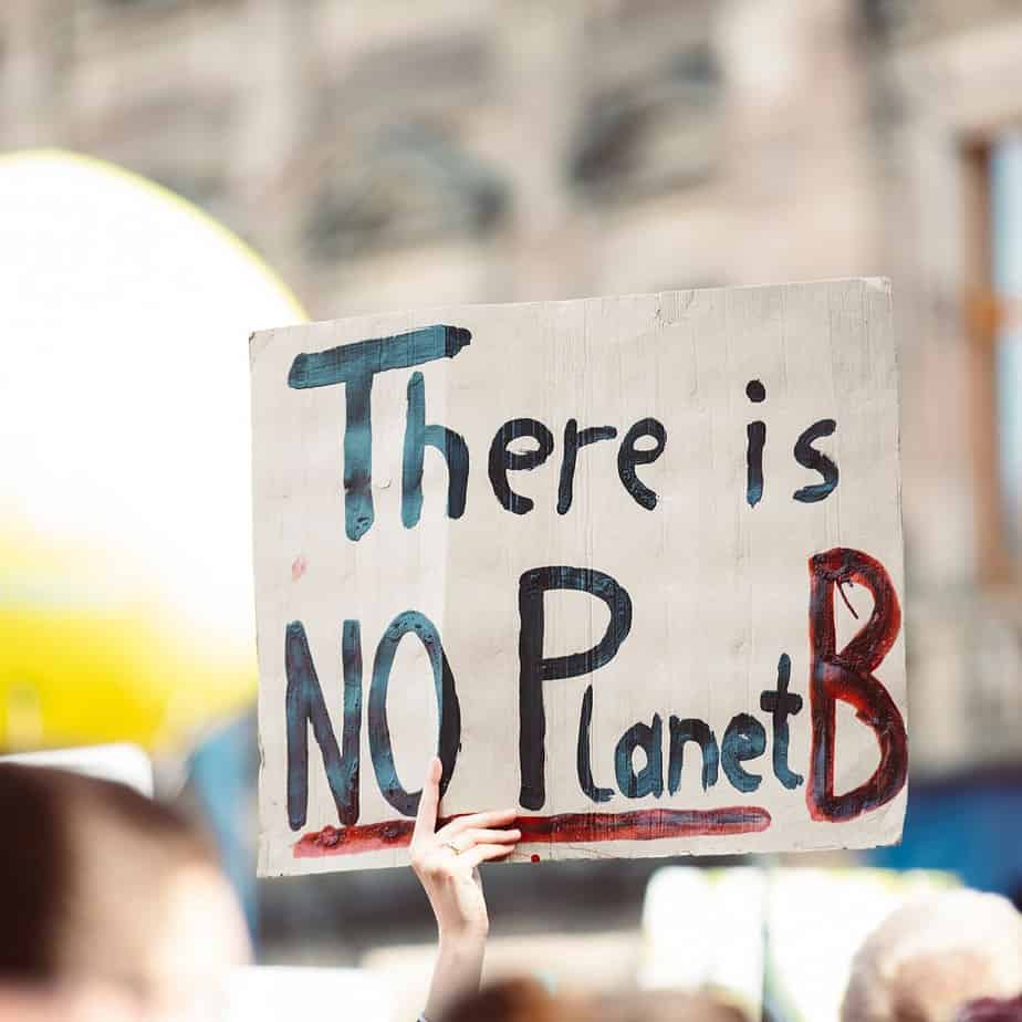 Person hebt ein Schild mit "There is no Planet B"